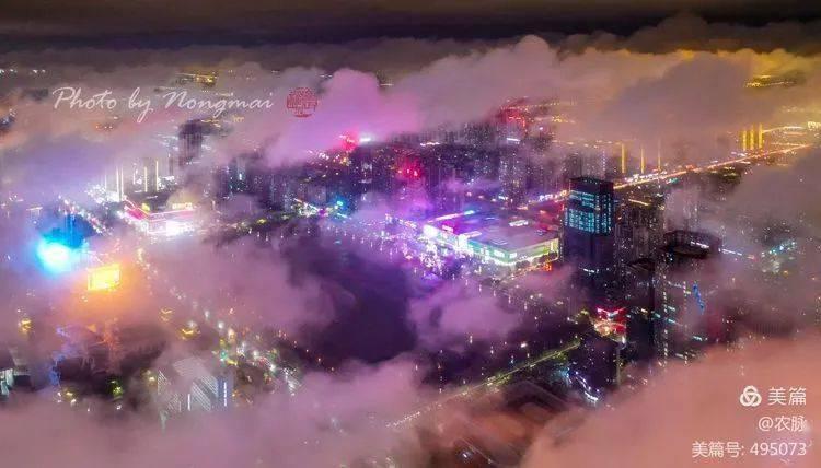 双向奔赴的温暖!东北大哥免费送“小土豆”后收到意外惊喜